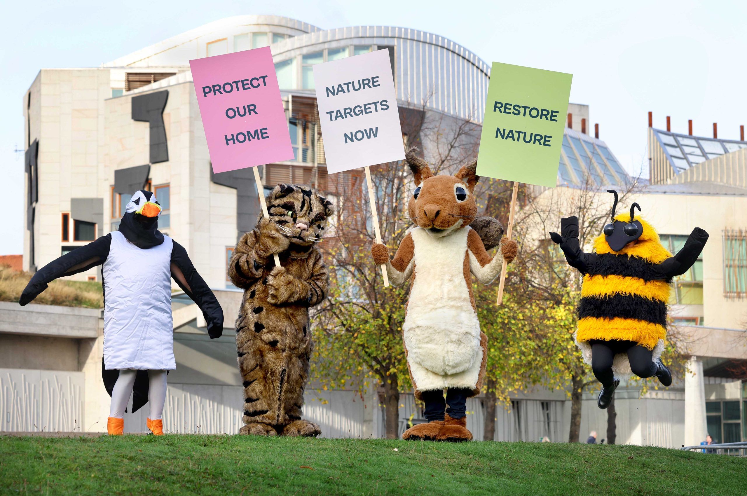 Four people standing in front of the Scottish parliament building, wearing puffin, wildcat, red squirrel and bumblebee costumes and holding signs reading 'protect our home', 'nature targets now' and 'restore nature'. The person in the bumblebee costume is jumping into the air.